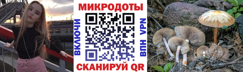 blacksprut сайт  Горбатов  Псилоцибиновые грибы мухоморы  даркнет сайт 